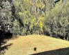 5181 Cana, Memphis, Tennessee 38109, 3 Bedrooms Bedrooms, 0 ,1 BathroomBathrooms,House,For Rent,Cana,0,1201 5181 Cana, Memphis, Tennessee 38109, 3 Bedrooms Bedrooms, 0 ,1 BathroomBathrooms,House,For Rent,Cana,0,1201